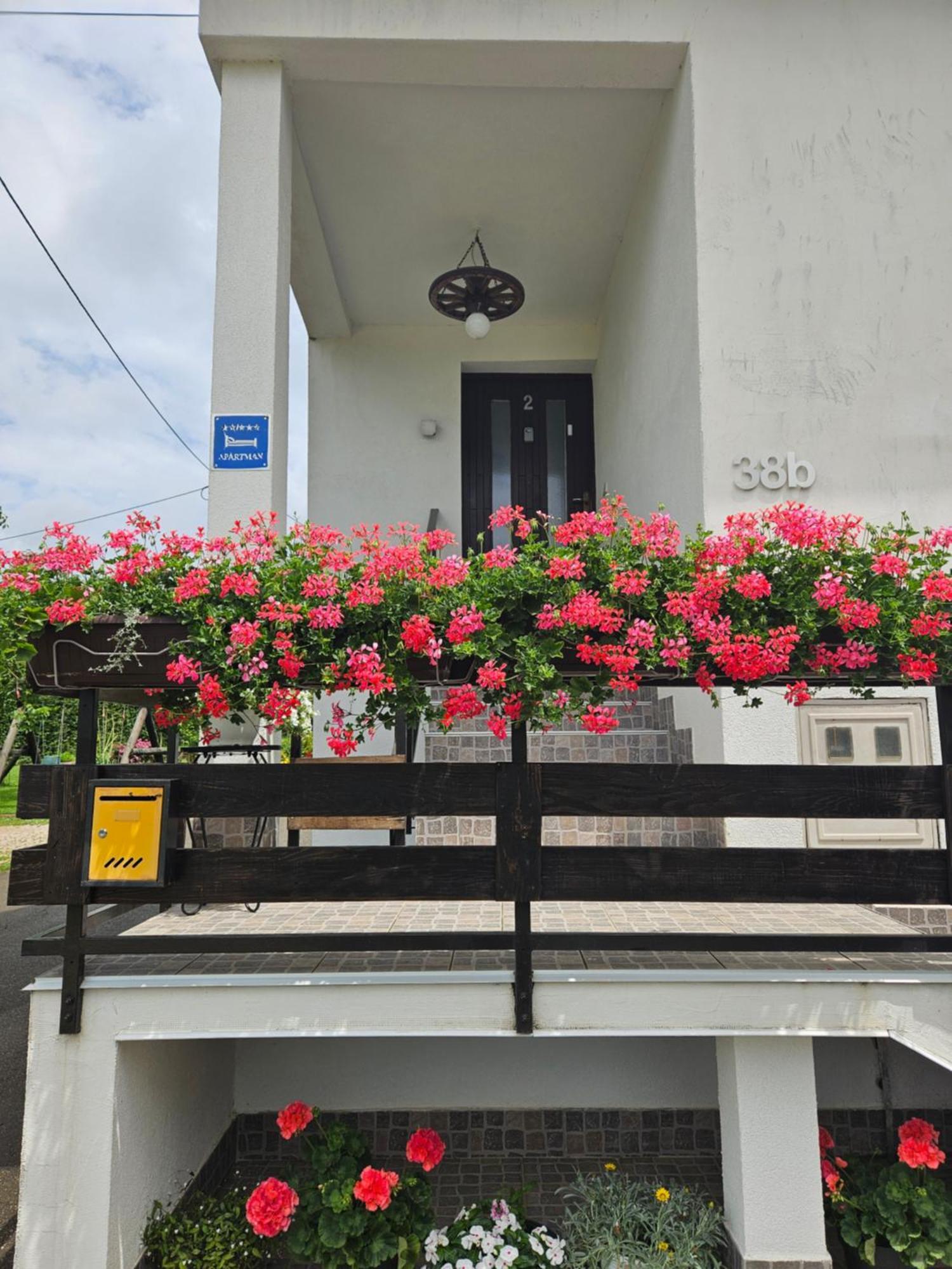Apartments Luka Rakovica Exterior foto
